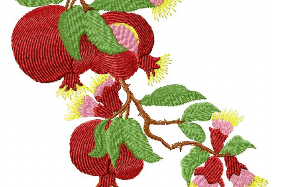 Pomegranate Fruits Embroidery Design Review